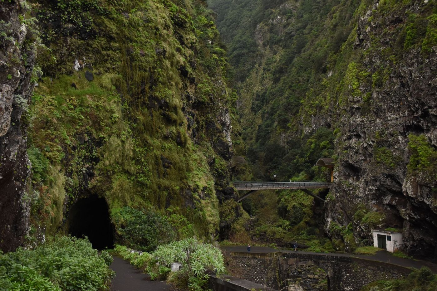 A group of people wearing helmets and wetsuits walk through a stream in a lush green forest during a canyoning excursion.