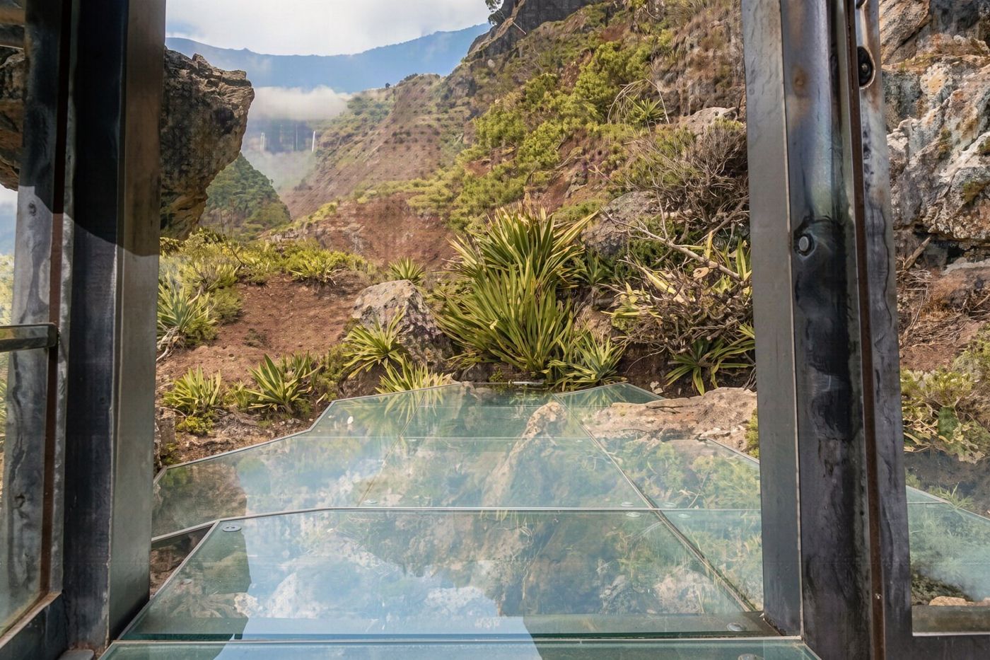 Visitors stand on a transparent glass platform overlooking the steep cliffs of Cabo Girão.