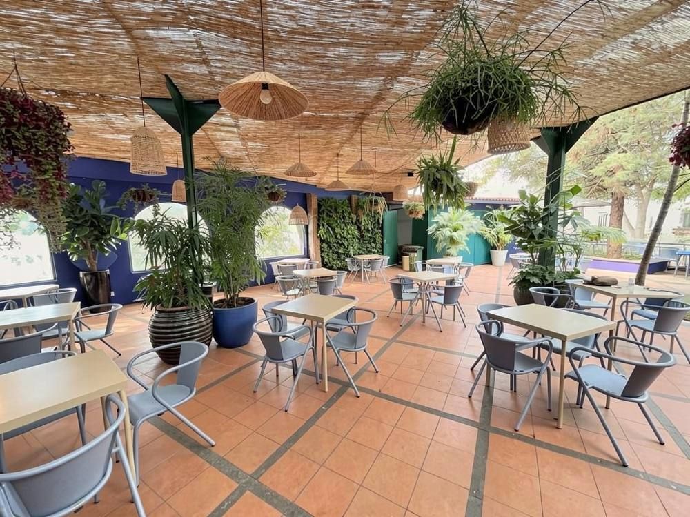Bluehouse Café - Monte Palace Madeira, Funchal