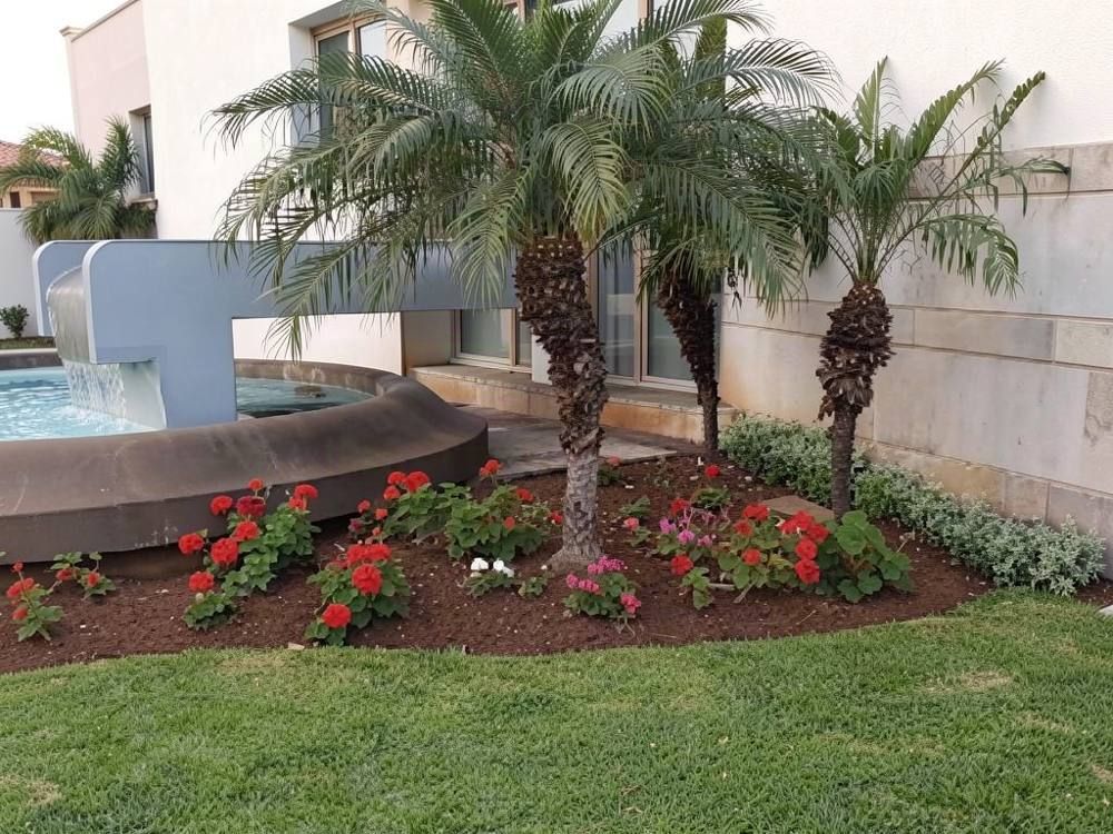 Homenagem aos Profissionais de Saúde, Funchal