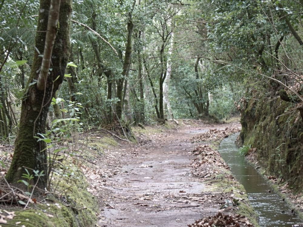 Levada da Serra do Faial - Camacha, Funchal
