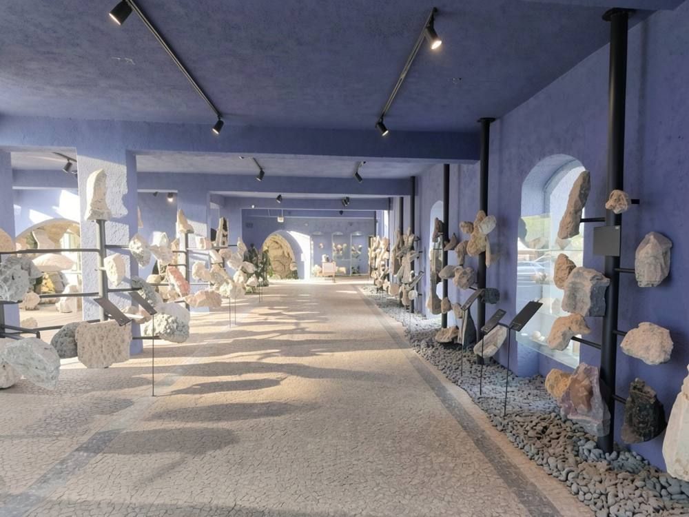 minerals expositions, Funchal