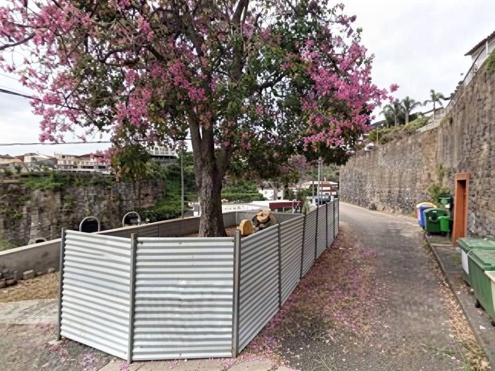 Miradouro da Azinhaga da Penha de França, Funchal
