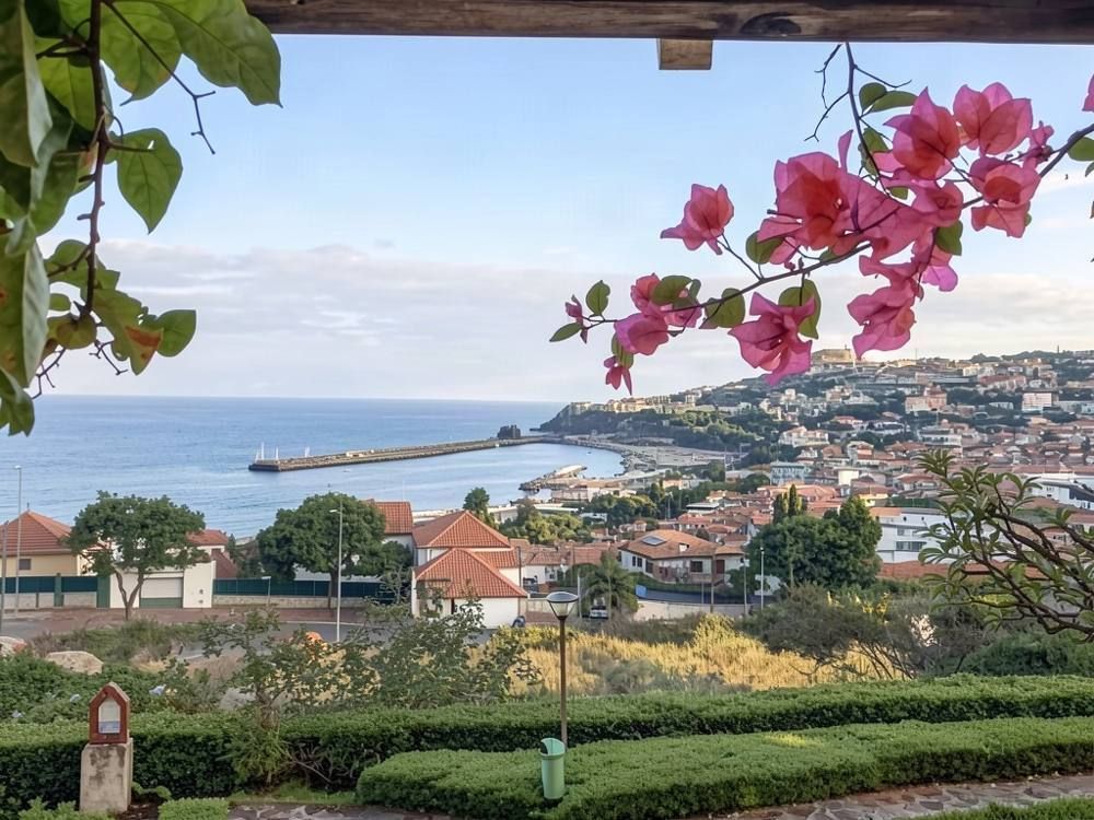 Miradouro da Vila Guida, Funchal
