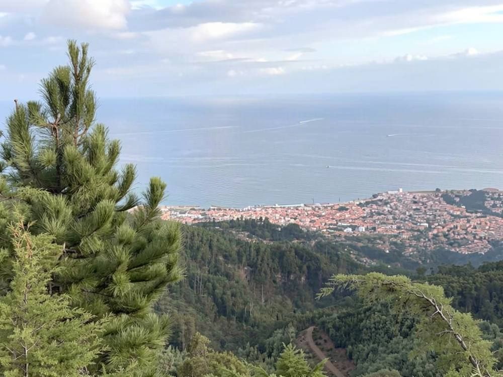 Miradouro do Florea Cascioarele, Funchal