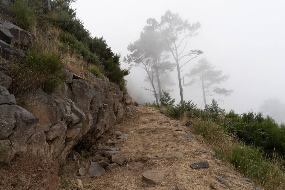 Miradouro do Pico Alto, Funchal