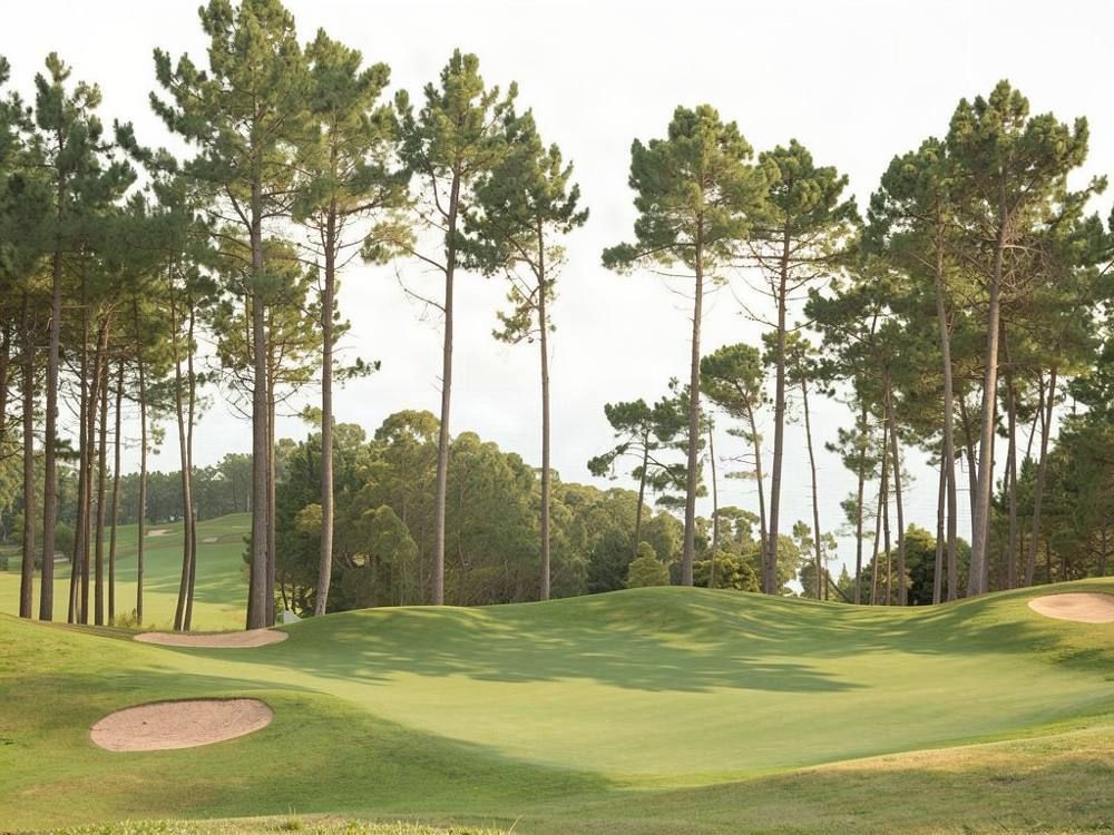 Palheiro Golf, Funchal