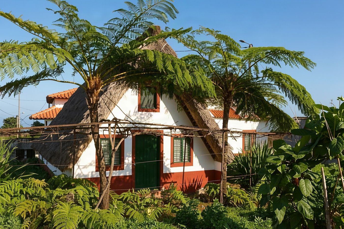 Iconic triangular thatched-roof houses standing in the village of Santana.