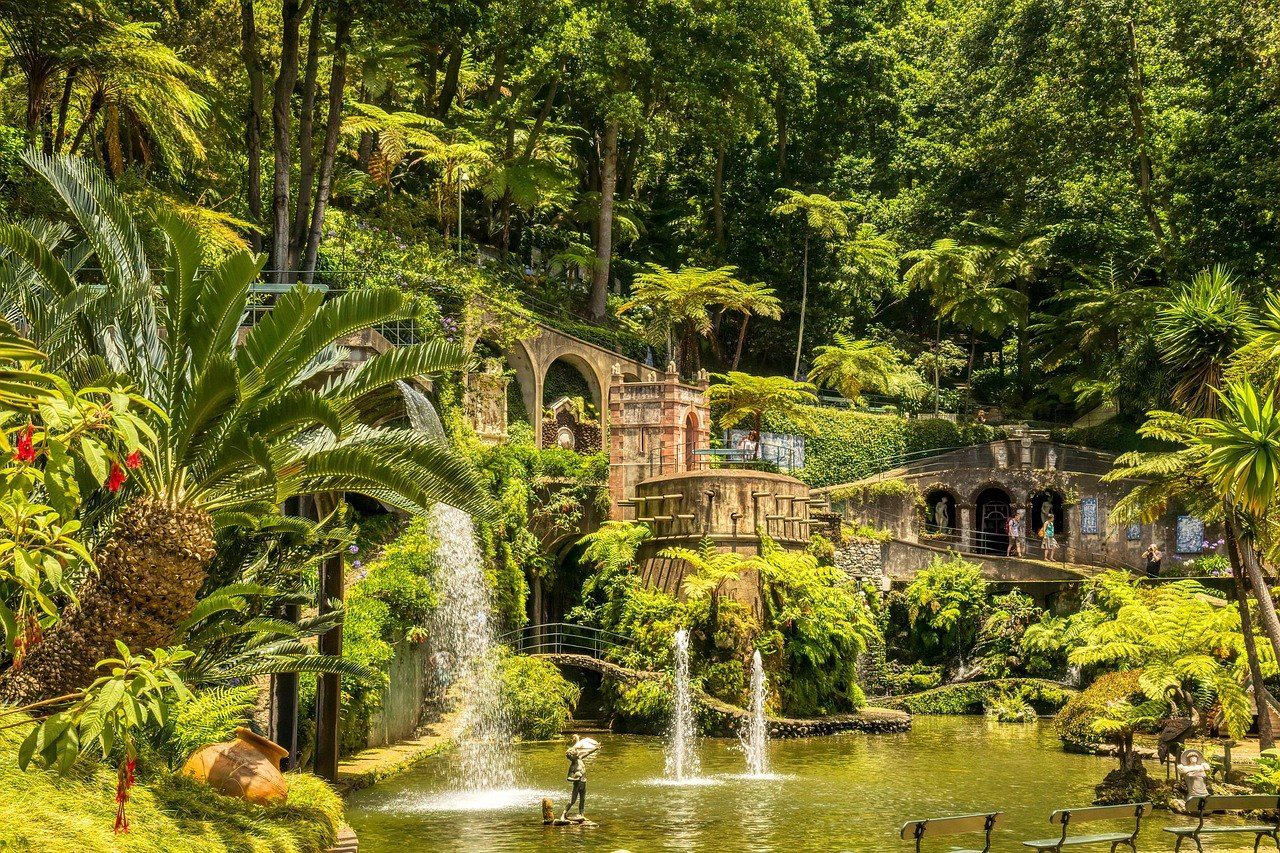 Lush tropical foliage and landscaped garden paths within the Monte Palace Tropical Garden.