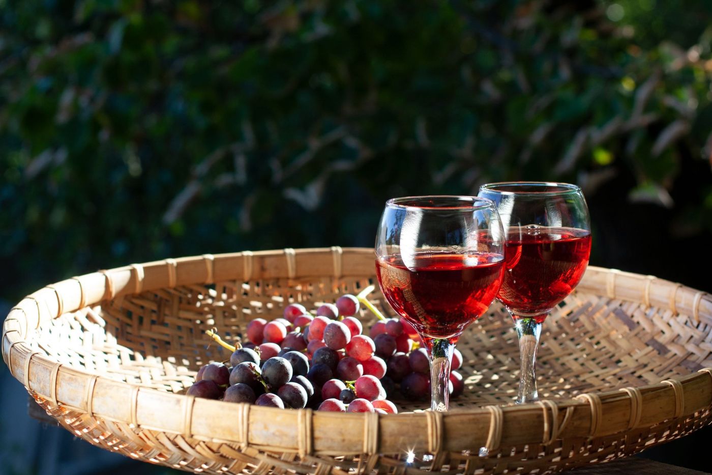 Guests sampling wine and watching traditional grape treading during the Madeira Wine Festival.