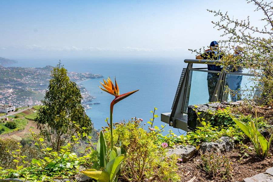 From Funchal: Madeira West Coast Full-Day Tour with Swim