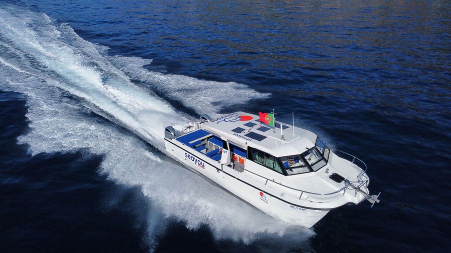 From Funchal: Private Catamaran Charter to Desertas Islands