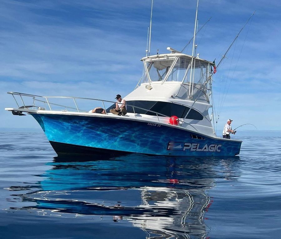 Funchal: Big Game or Bottom Fishing, 7 hours