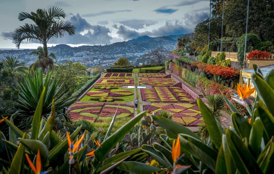 Funchal: Botanical Garden & Old Town Tour by TukTuk