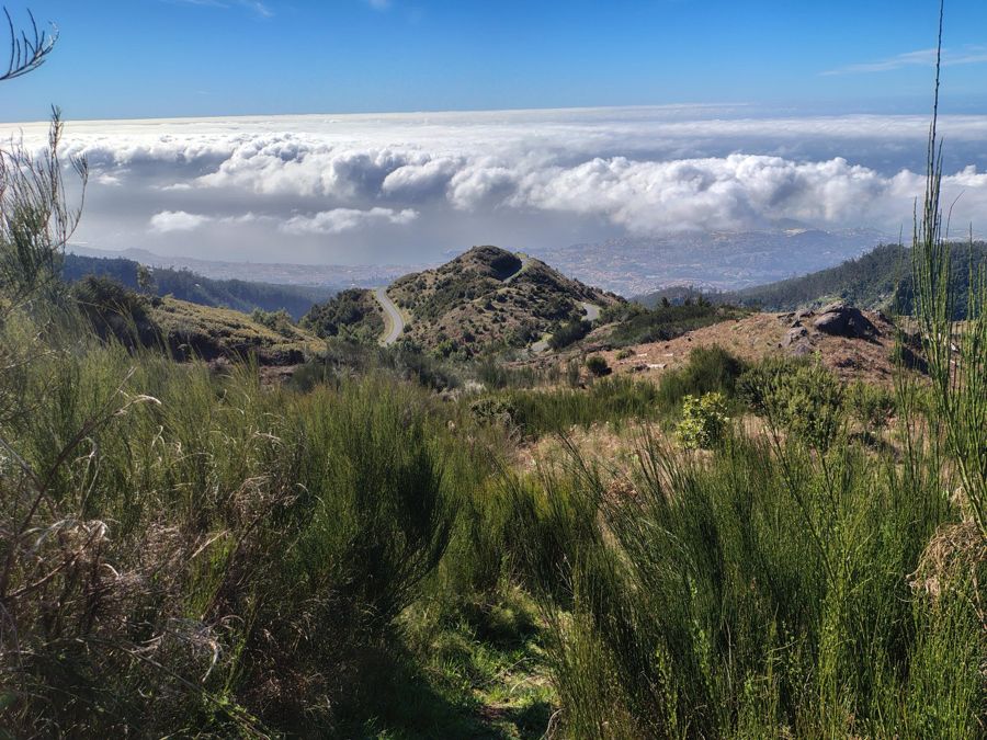 Funchal: Ecological Park Guided Hike