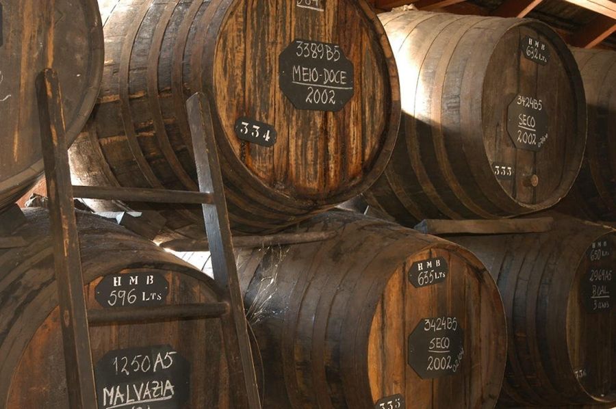 Funchal: H.M. Borges Winery Private Tour and Wine Tasting