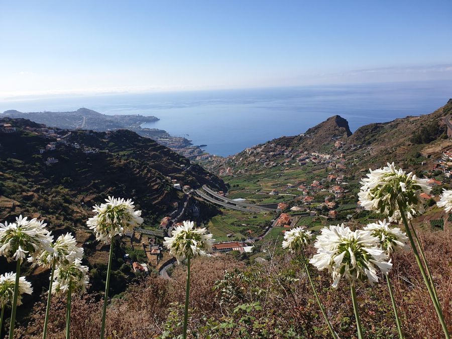 Funchal : Levada do Norte - Guided walk with transport