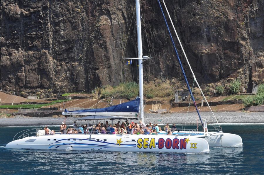 Funchal: Pico Arieiro, Cristo Rei and Dolphins Watching