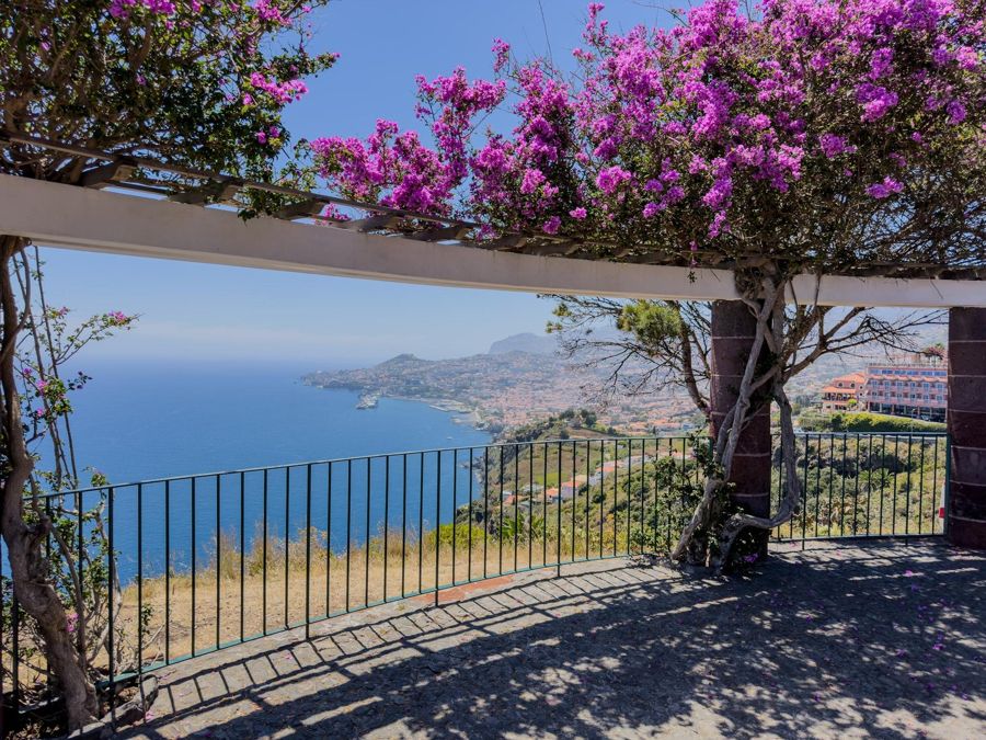Funchal: Private Best Panoramic City Viewpoints Tuk-Tuk