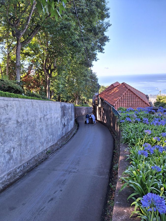 Funchal: Private Cable Car, Toboggan, and Skywalk Tour