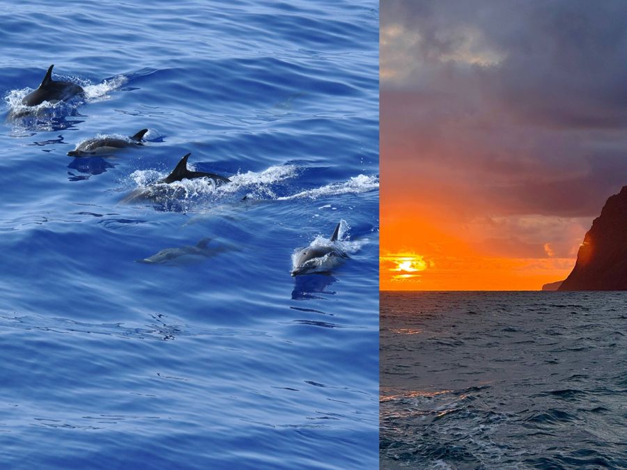 Funchal: Private Catamaran Tour - With Open Bar & Snacks