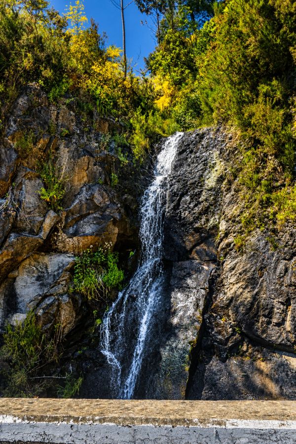 Funchal: Waterfall Escape & Viewpoints a Tuktuk Tour