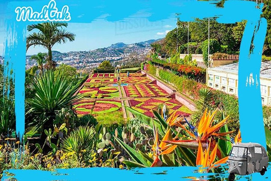 Madeira: Botanical Gardens + Old Town Tuk-Tuk Tour by MadTuk