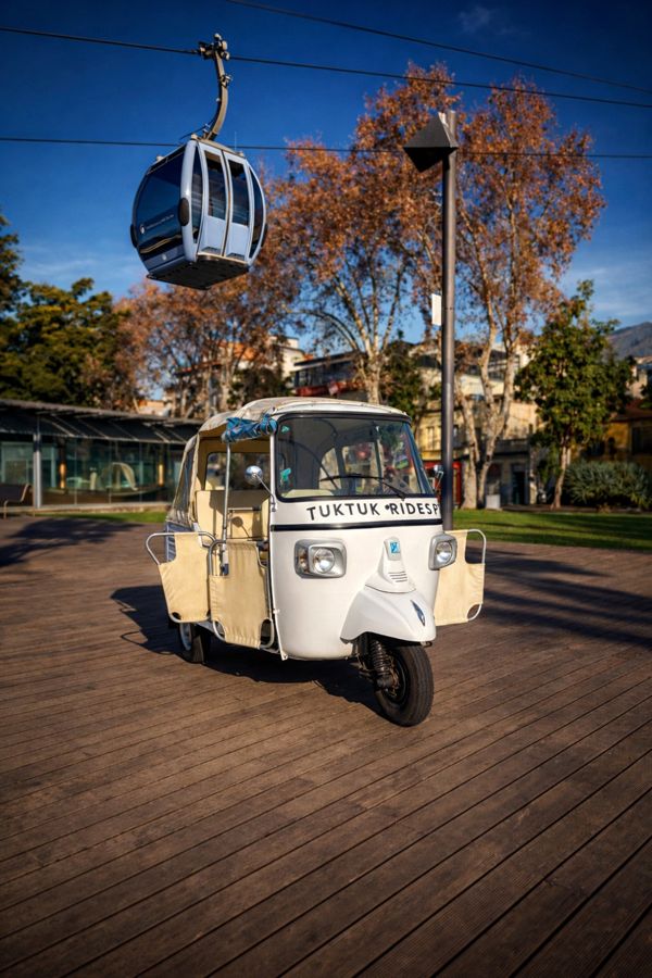 Madeira: Custom Private Tuk Tuk Tour with Stops