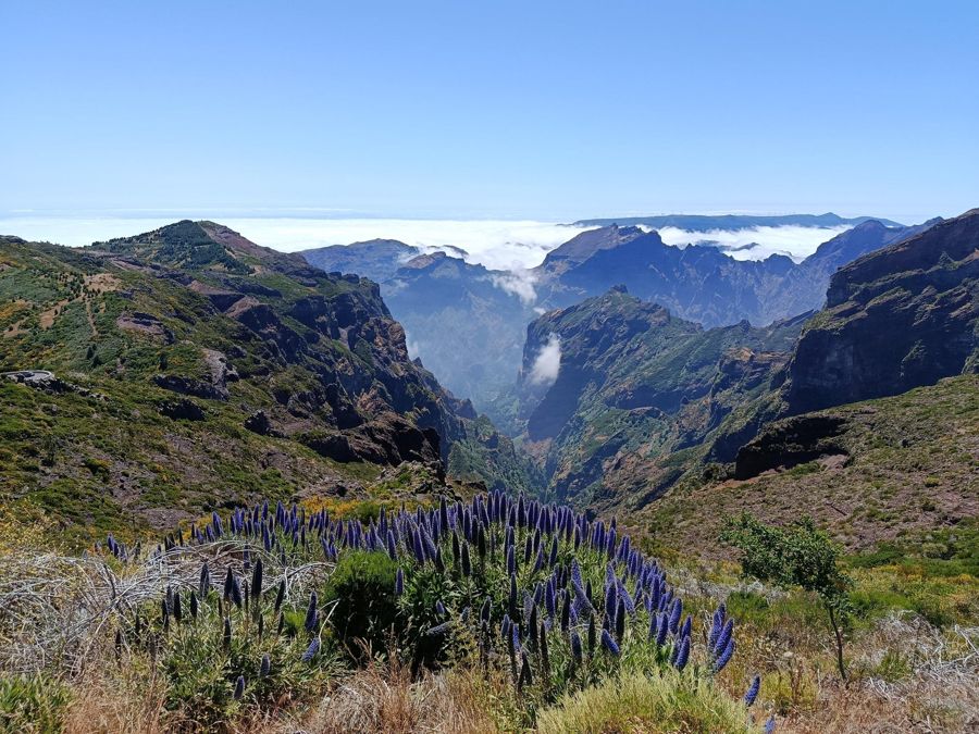 Madeira: East Island Tour with Lunch and Hotel Pickup