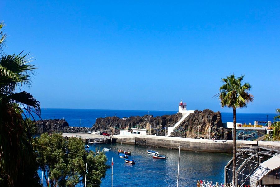 Madeira: Half-Day 4x4 Highlights Tour for Cruise Passengers