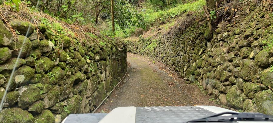 Madeira: Land & Sea 4x4 & São Lourenço Boat Adventure