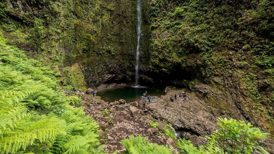 Madeira: Levada Caldeirão Verde Waterfalls and Forests Hike