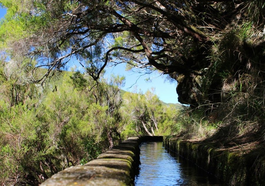 Madeira: Levada Walking Tour - Rabaçal 25 Fontes