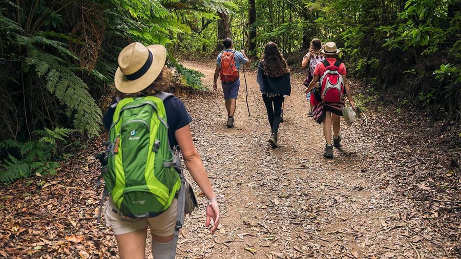 Madeira Mimosa Valley Trail: Explore Maroços