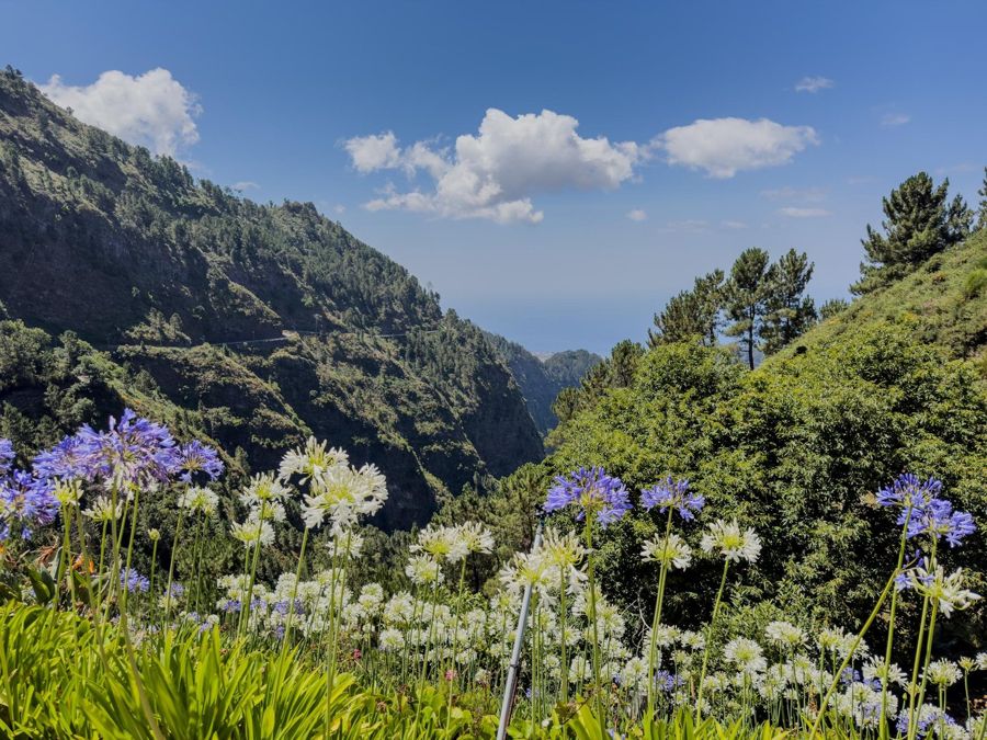 Madeira: Nuns Valley Viewpoint Private Tuk-Tuk Tour
