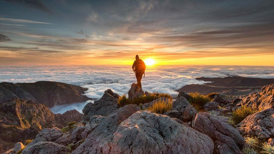 Madeira: Private Customizable Day Trip with Guide