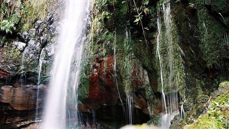 Madeira Rabaçal: Lakes & Fountains Nature Walk