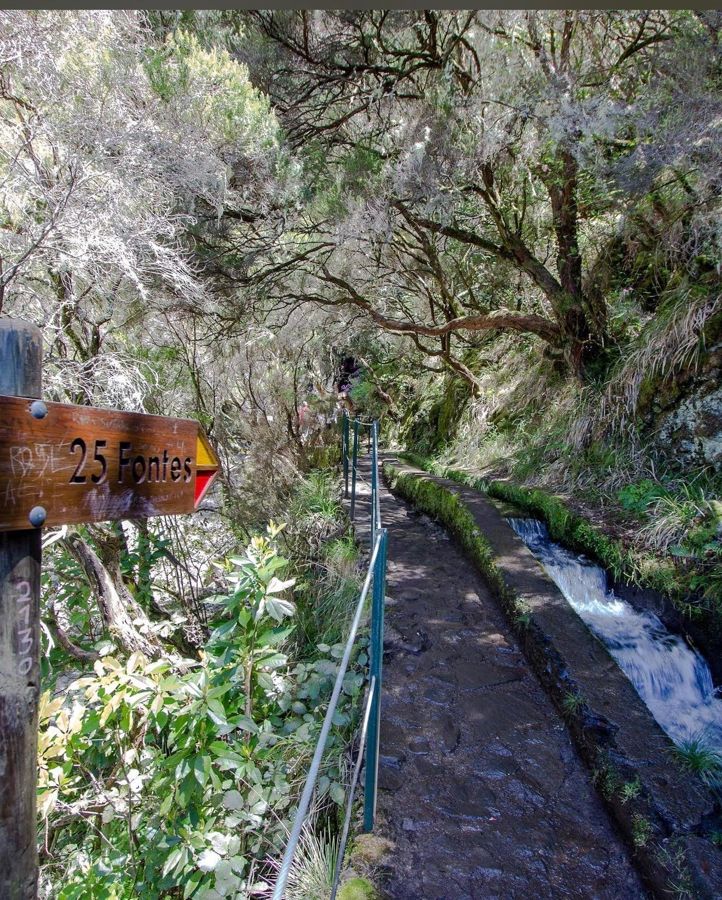 Madeira Rabacal:25 Fountains&Risco Waterfall Hiking Tour