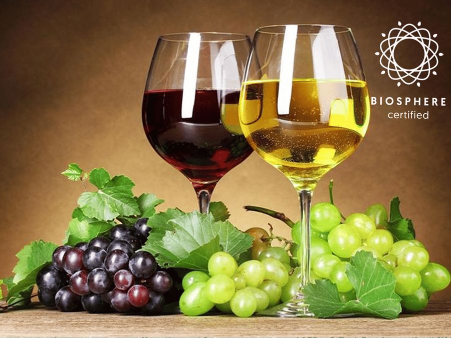 Madeira: Signature Wine Tasting, Skywalk Nature Expedition