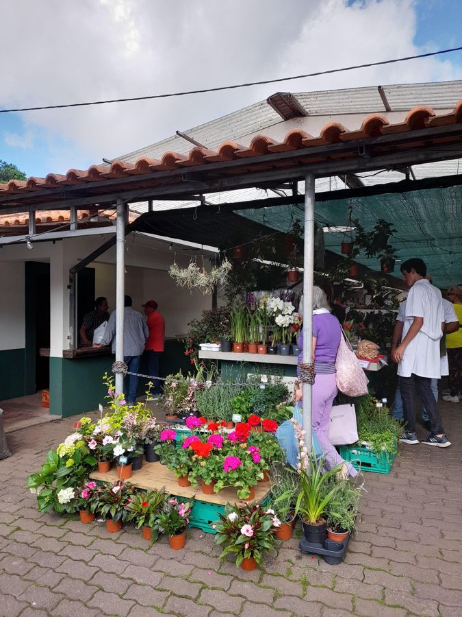 Madeira: Sunday Market in Santo da Serra