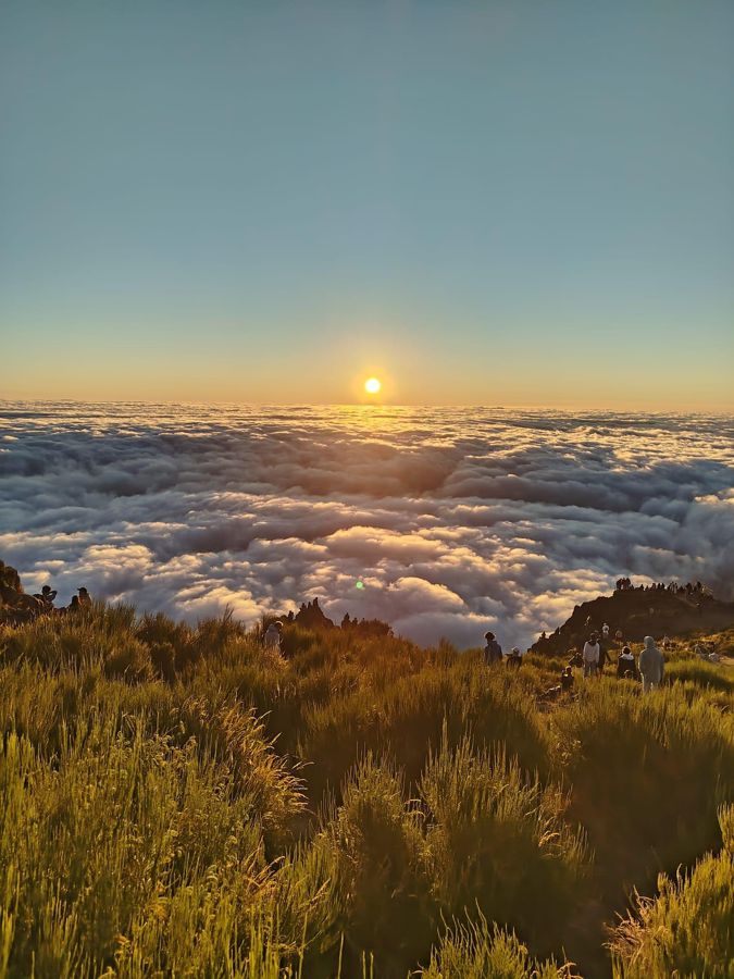 Madeira: Sunrise Half-Day Jeep Tour