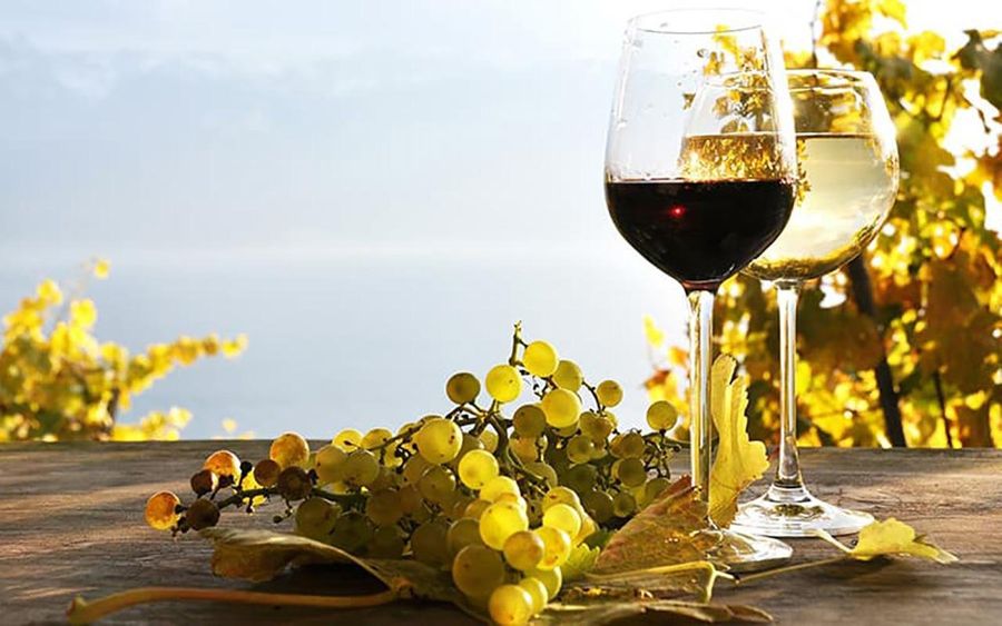 Madeira: Vineyard Tour w/ Wine Tasting & Skywalk