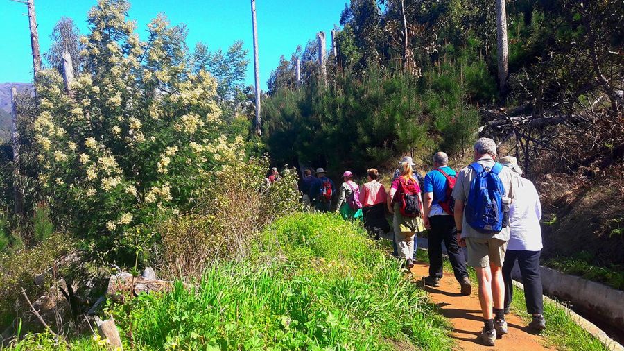 Serra de Água Valley Levada Walk