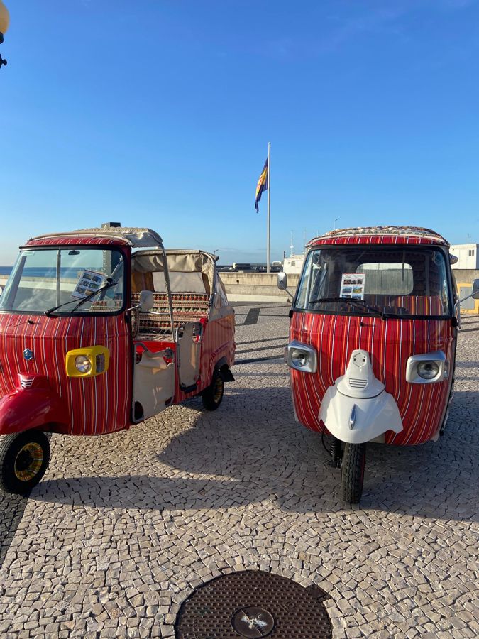 Tuk Tuk Tour to Jardim da Quinta de Boavista and Jardim de Orquídeas