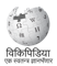 Wikipedia (dates of record, measurements, weather tables)